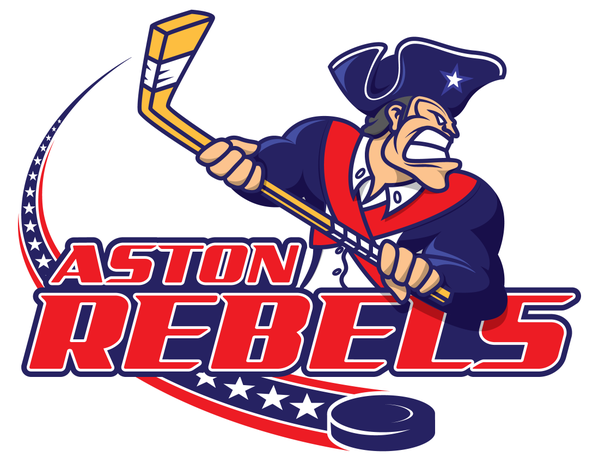 Aston Rebels 2015-Pres Primary Logo iron on transfers for clothing